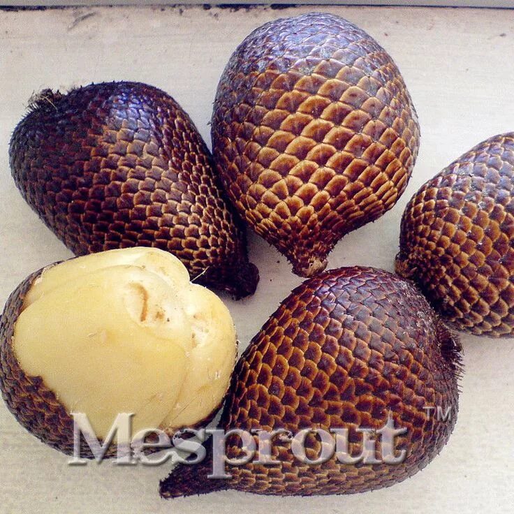Магический фрукт фото UNCLE CHAN 20seeds Tropical Salacca Zalacca Salak Snake TROPICAL FRUIT rare 2018