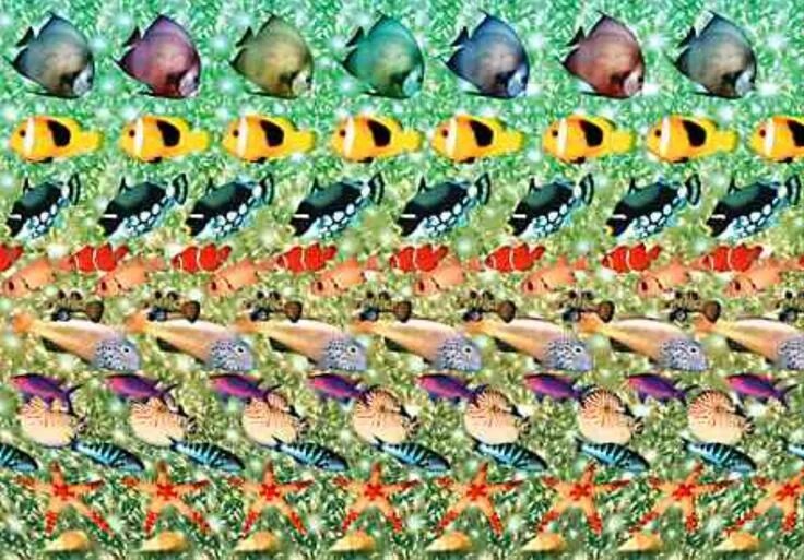 Магический глаз фото Magic Eye Optische illusies, Illusies, Ogen
