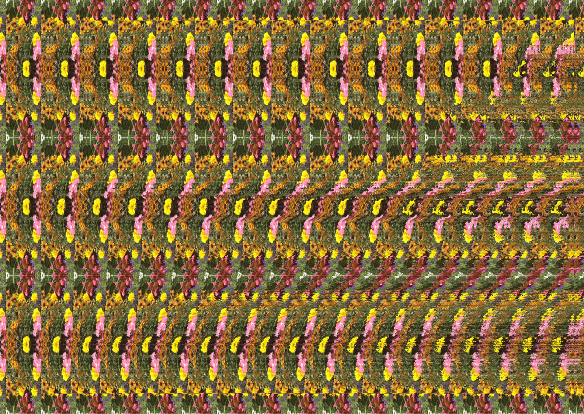 Магический глаз фото Download "Follow the hidden pattern to discover the hidden world of Magic Eye" W