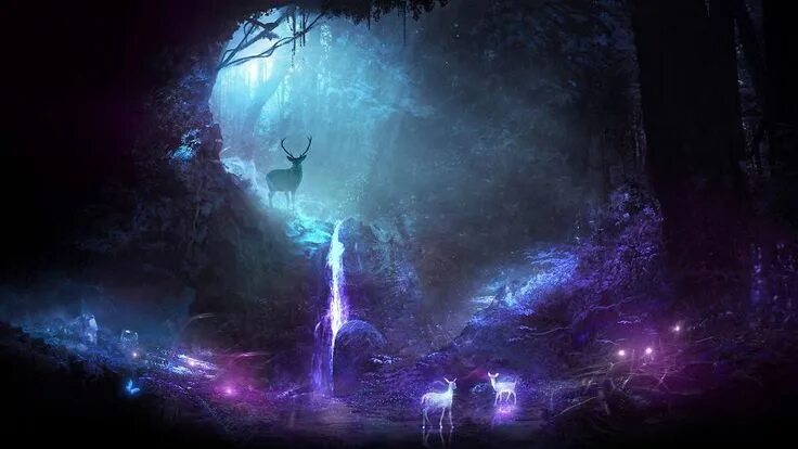 Магический лес фото Obscure Lit Wallpaper with Deer in Forest