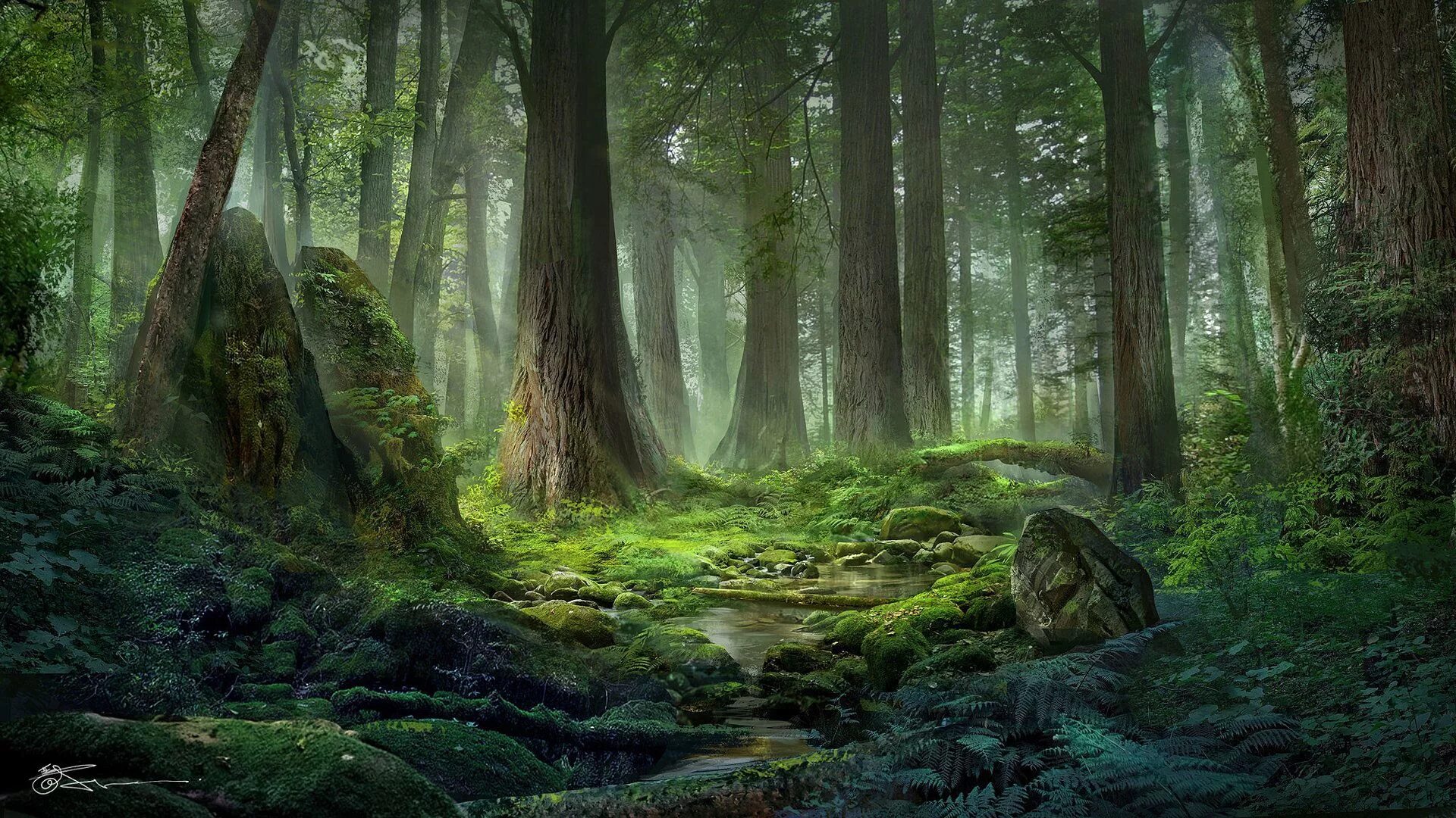 Магический лес фото ArtStation - Light of Forest, jeremy chong Fantasy landscape, Fantasy art landsc