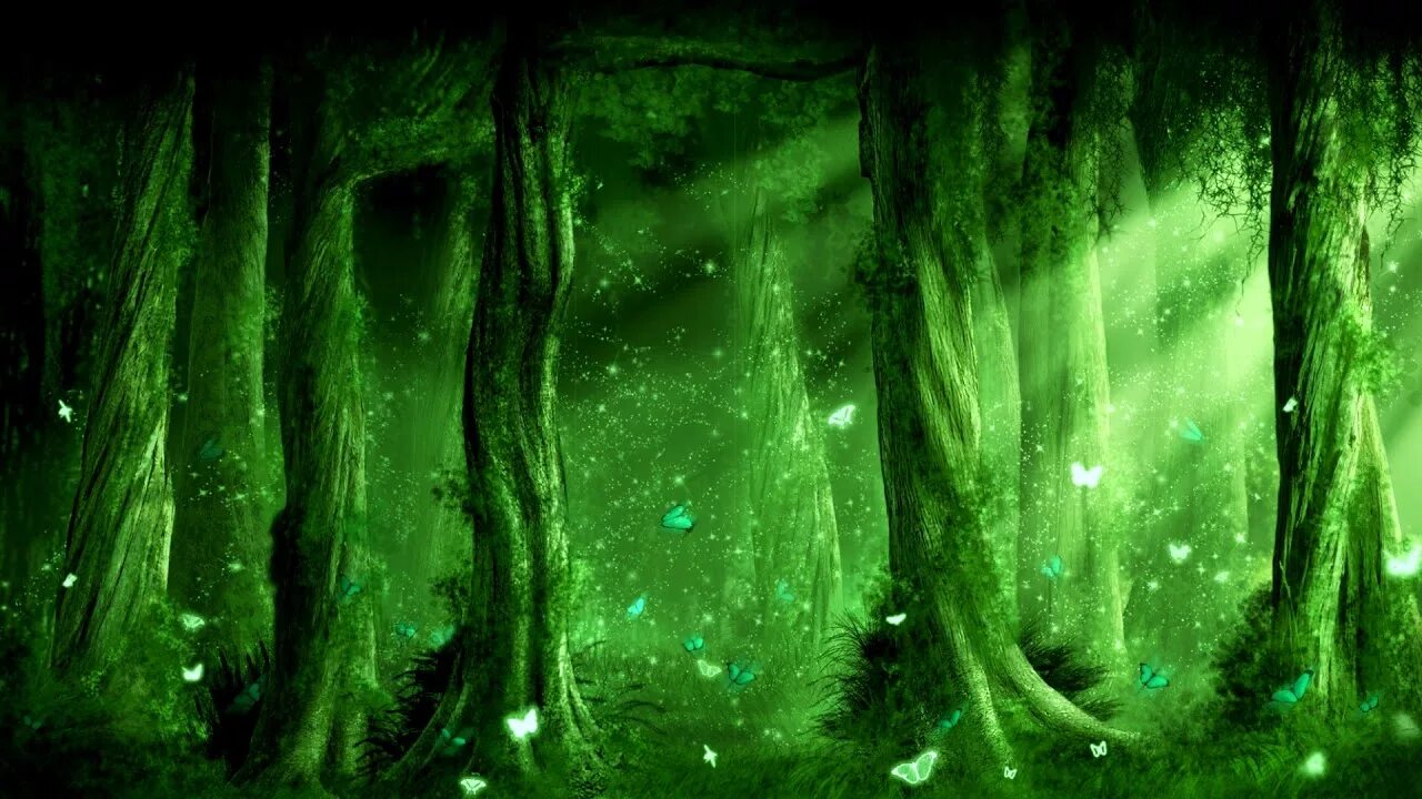 Магический лес фото Thomas Bergersen - The Hidden Rainforest Extended - YouTube Music