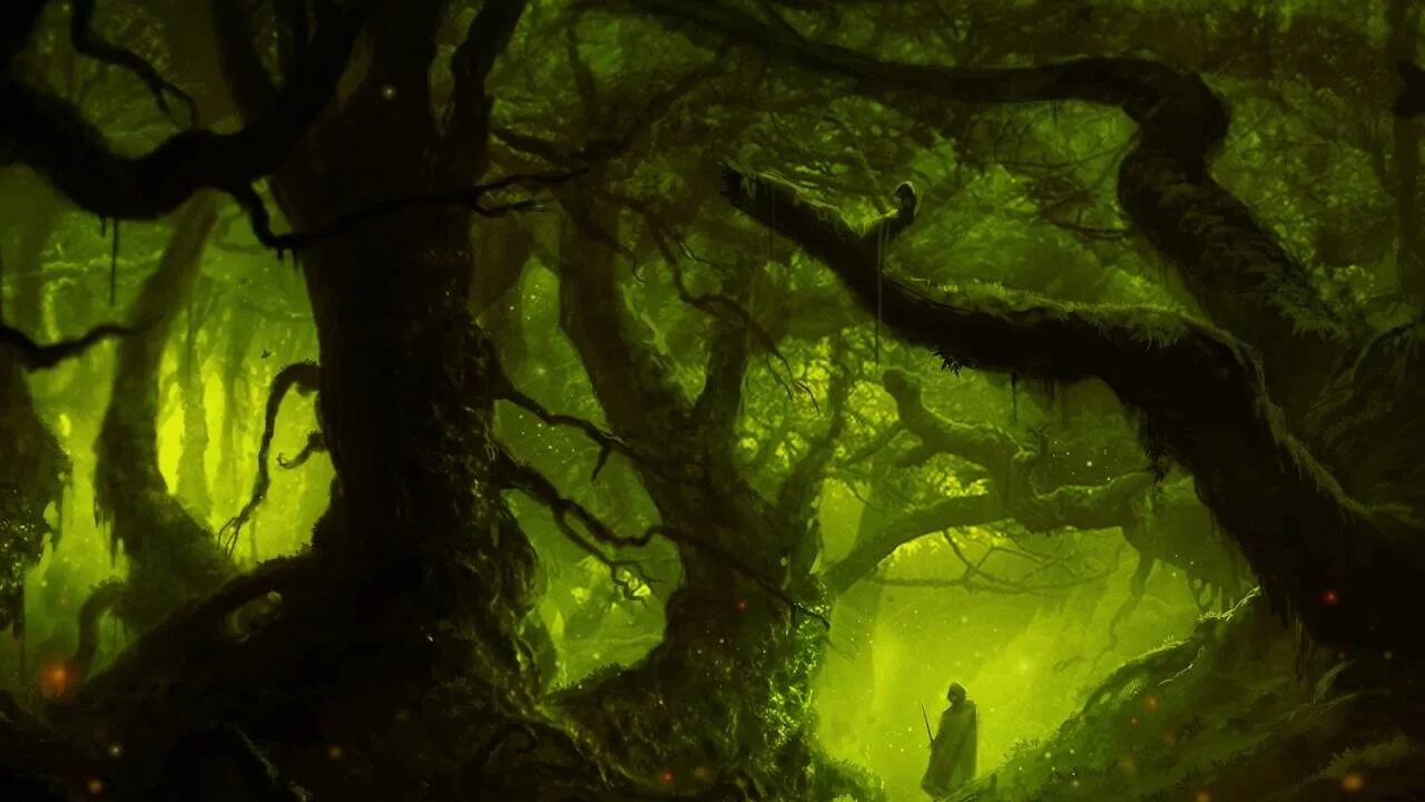 Магический лес фото Vibrasphere - Forest Fuel ᴴᴰ - YouTube Music