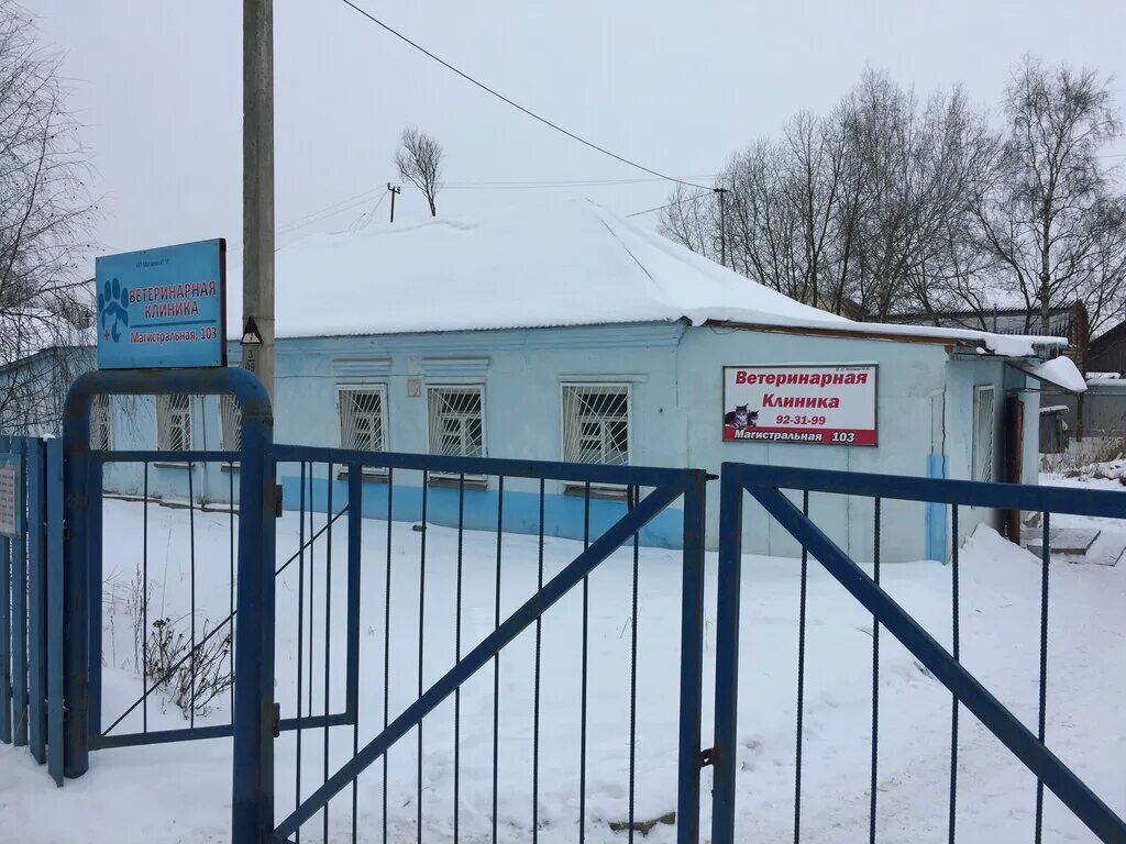Магистр вет магистральная ул 103 ярославль фото Панорама: Магистр-Вет, ветеринарная клиника, Магистральная ул., 103, Ярославль -