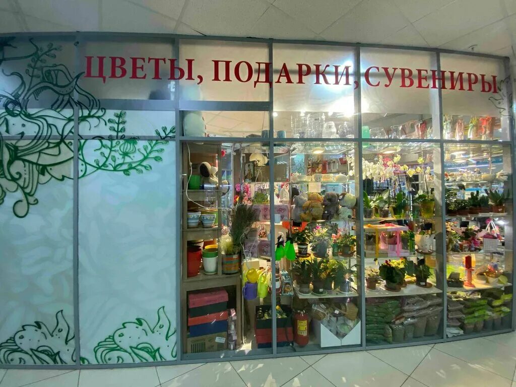 Магистраль сухонская ул 1б вологда фото Дом цветов, магазин цветов, Сухонская ул., 1Б, Вологда - Яндекс Карты