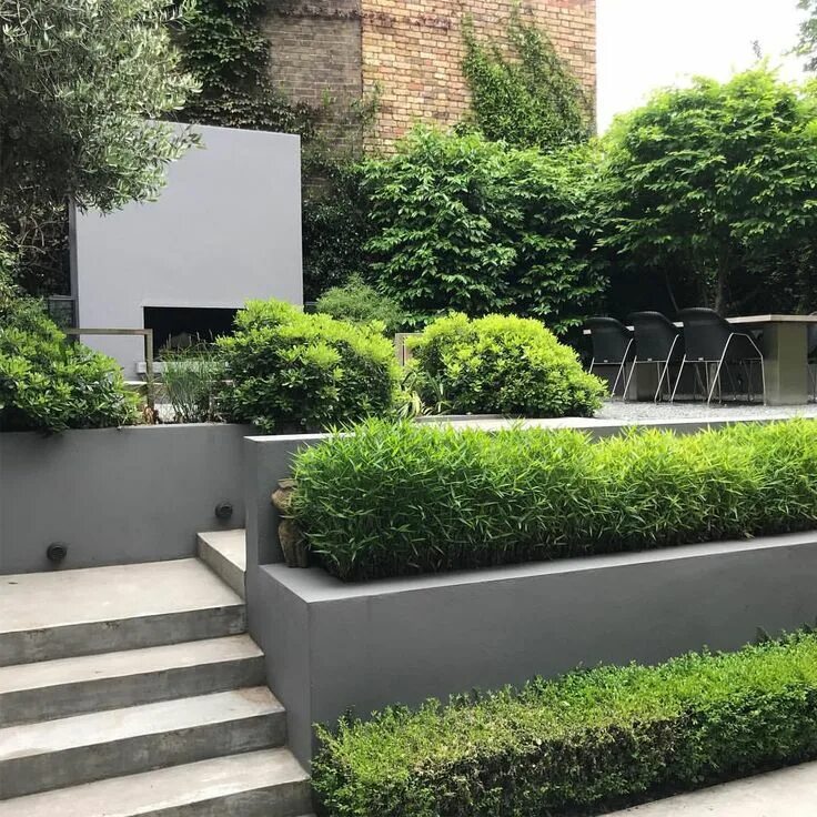 Магистратура ландшафтный дизайн #canalside #garden #layered #hedging #stilllookinggood #threeyearson #charlotter