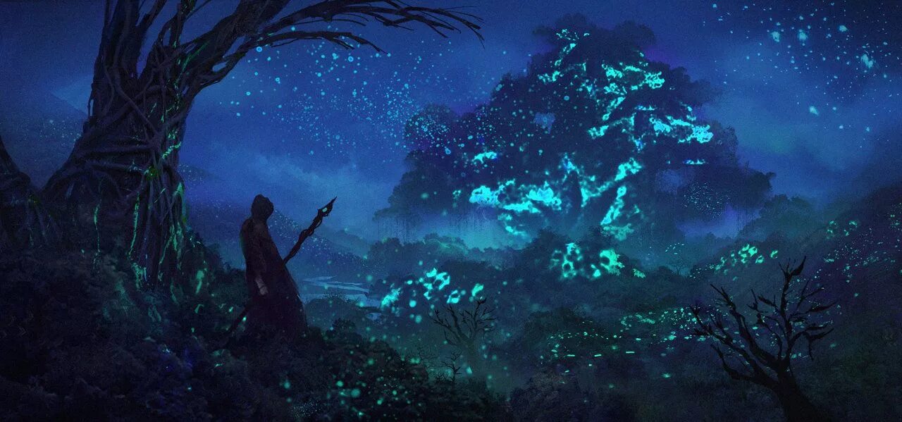 Магия ночи фото The Glass Forest Fantasy art landscapes, Fantasy landscape, Fantasy art