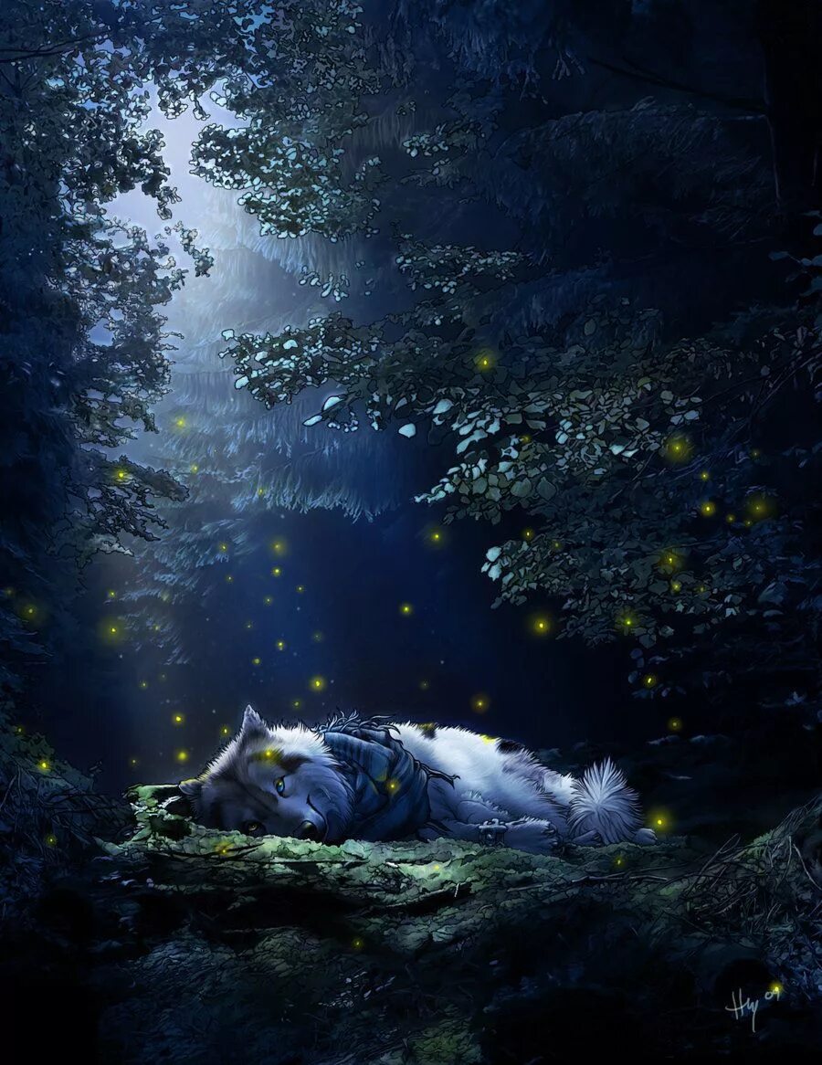 Магия ночи фото Don't let the smile fool you. He is not an ordinary wolf. Wolf art, Dragon artwo