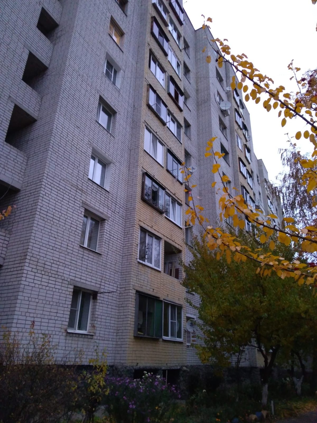 Магнит 2 я агрегатная ул 53 фото 2-я Агрегатная улица, 43 (2-я Агрегатная улица, 43) - информация и адрес дома (р