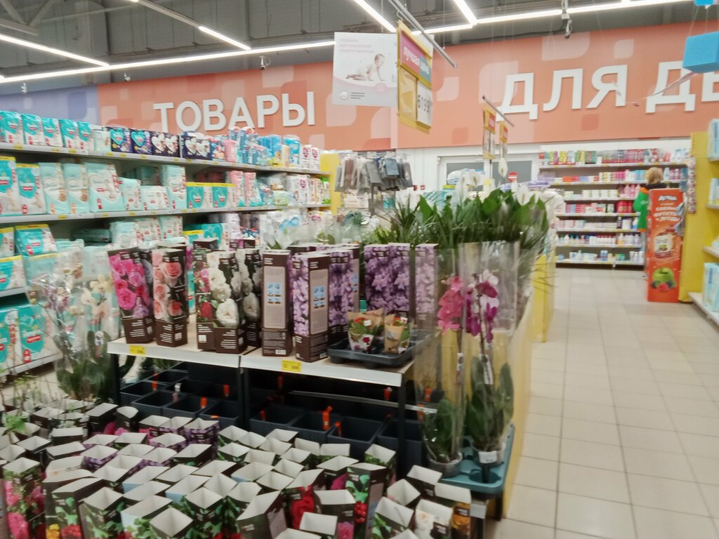 Магнит экстра виноградный пер 2 фото Magnit Ekstra, food hypermarket, Sochi, Vinogradniy Lane, 2 - Yandex Maps