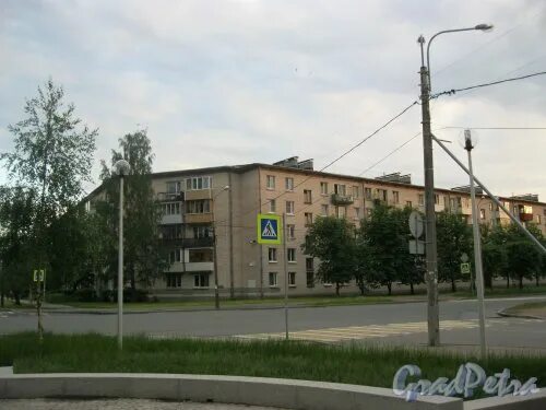 Магнит эрлеровский бул 12 фото Фотографии Санкт-Петербург: Эрлеровский бульвар (Петергоф), д. 14, Петродворцовы