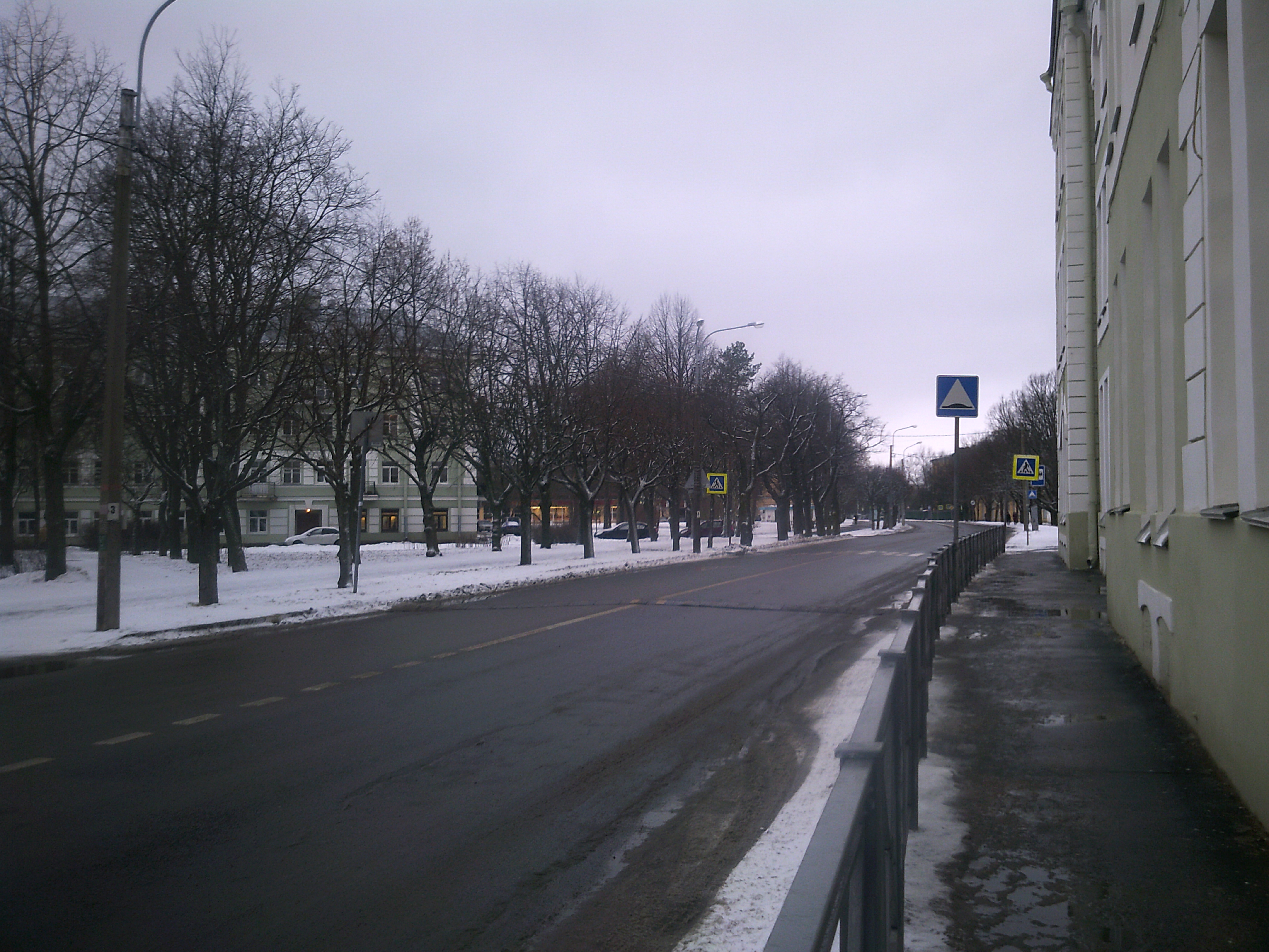 Магнит эрлеровский бул 12 фото Файл:Эрлеровский бульвар, Петергоф - Boulevard of Erler, Peterhof.jpg - Википеди