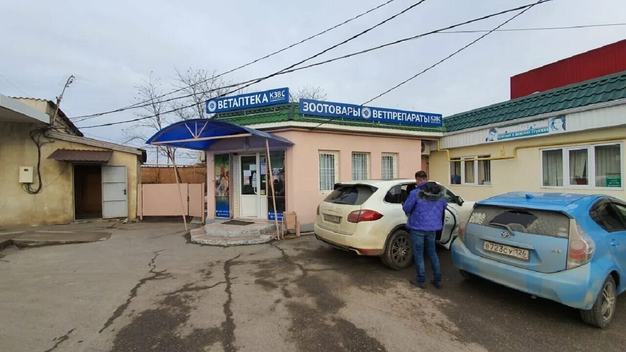 Магнит ул левчишина 25 станица суворовская фото Krasnodarzoovetsnab, veterinary pharmacy, Russia, stanitsa Suvorovskaya, ulitsa 