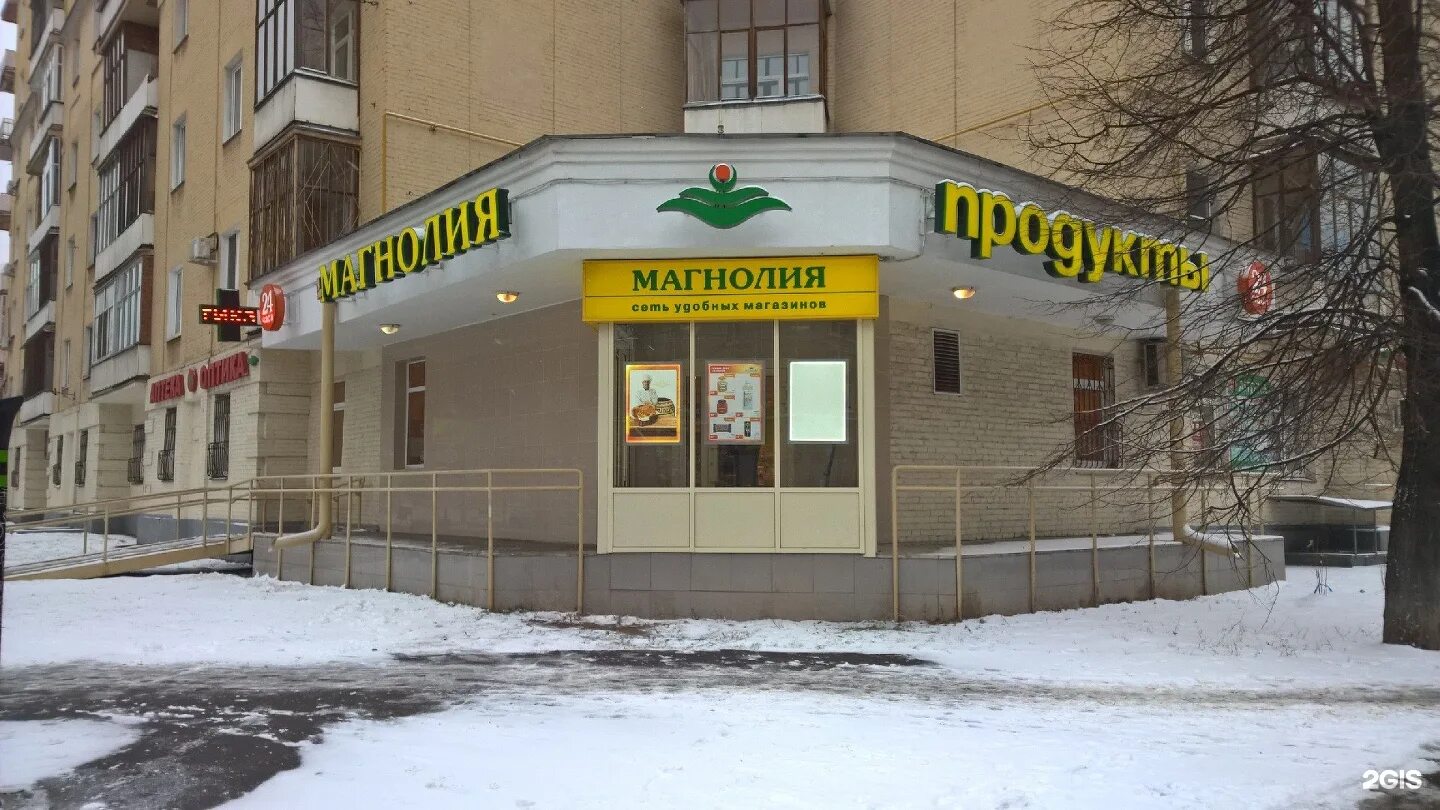Магнолия фото магазинов Хавско-Шаболовский / улица Лестева, 11 / улица Хавская, 22 в Москве - 2ГИС