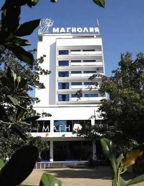Магнолия сочи гостиница фото SOCHI-MAGNOLIA - Sochi Hotels Catalog