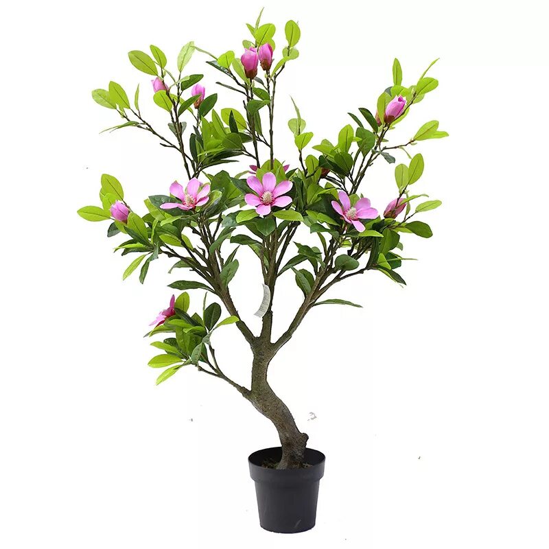 Магнолия цветы фото в горшке 1.3 m Lifelike Artificial Magnolia tree Potted plants Home decoration flowers in