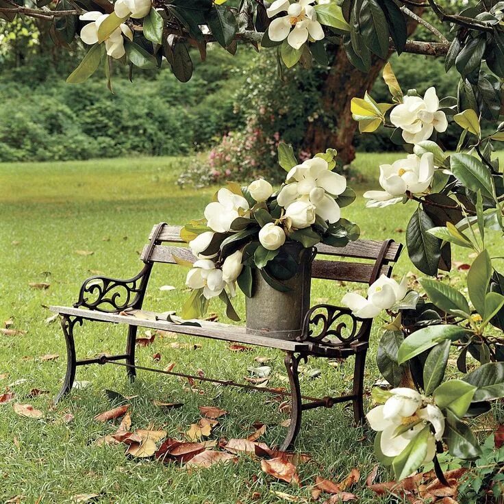 Магнолия в ландшафтном дизайне 77 Porch And Patio Design Ideas You'll Love All Season Rustic landscaping, South