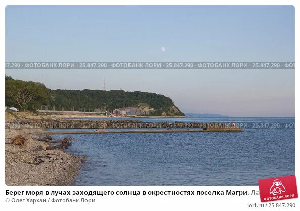 Магри фото поселка и пляжа Берег моря в лучах заходящего солнца в окрестностях поселка Магри. Лазаревский р