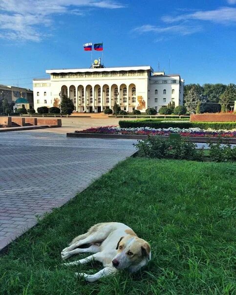 Махачкала картинки фото Махачкала. #КрасотаДагестана 2016 Мой Дагестан ВКонтакте