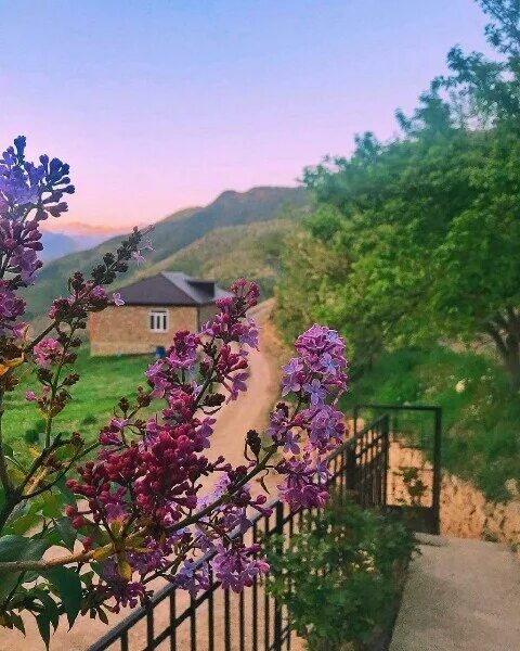 Махачкала природа фото Lower Batlukh, Shamil district 2022 Native Dagestan Дагестан VK