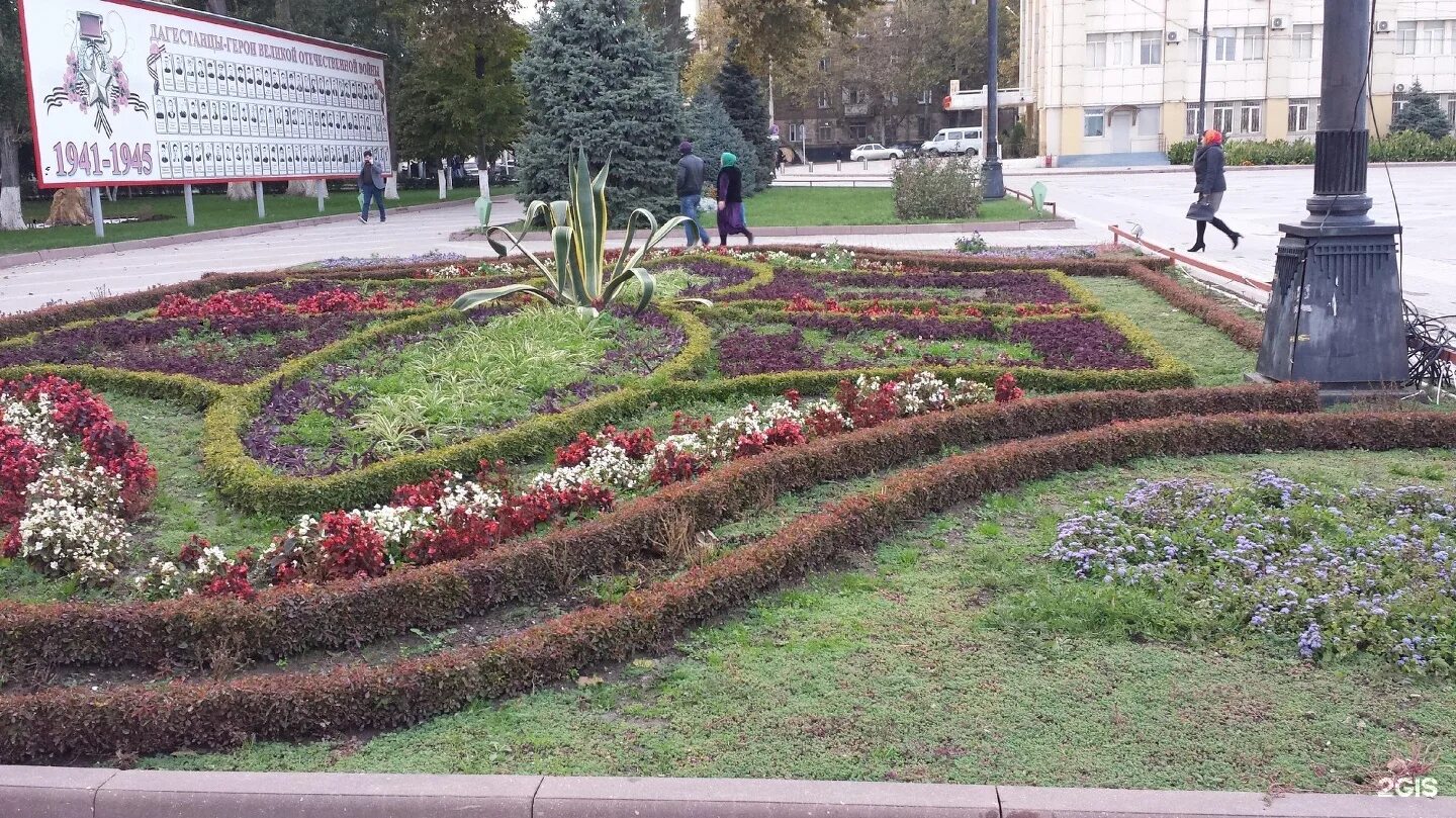 Махачкала весной фото Фотопарк махачкала - блог Санатории Кавказа