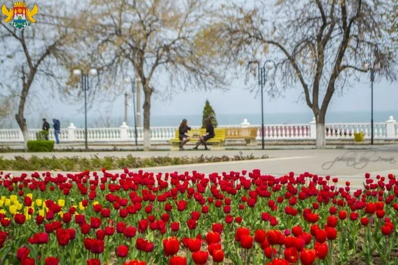 Махачкала весной фото Синоптики рассказали о погоде во время ЧЕ-2018 по борьбе Молодежь Дагестана