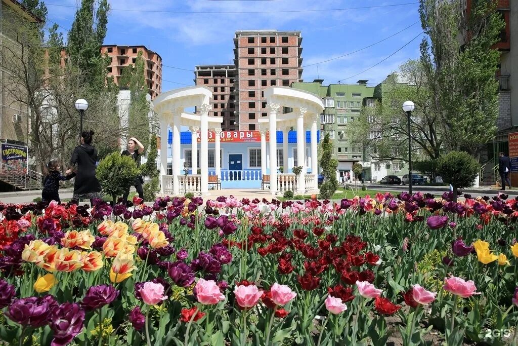 Махачкала весной фото Редукторный махачкала