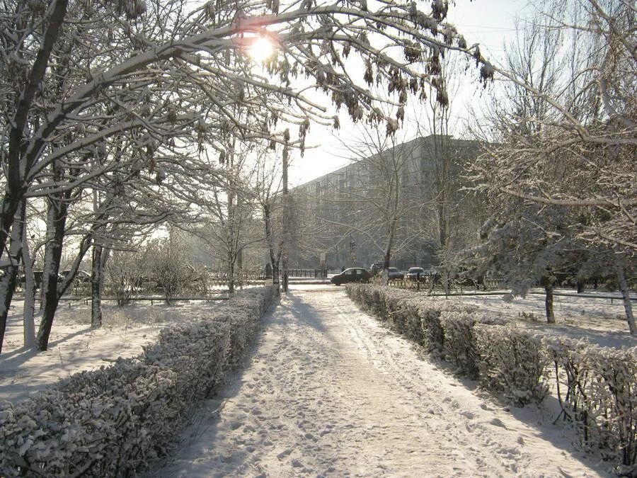 Махачкала зимой фото Зимние пейзажи в парке (19 декабря 2010 года) (24 фото - Волгоград, Россия) - Фо