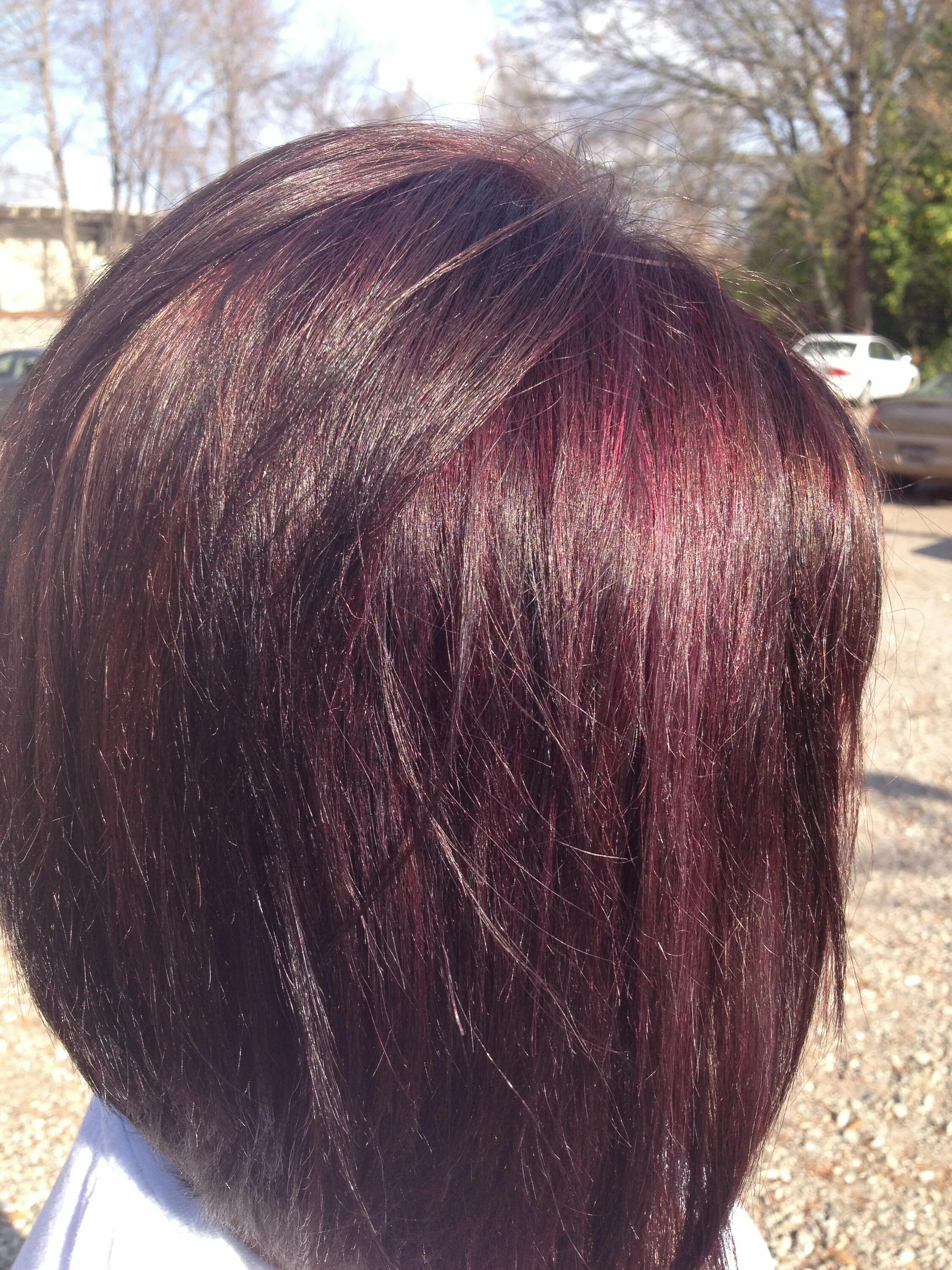 Махагон цвет волос фото краска Mahogany violet and mocha brown. I love my hair :) Medium hair color, Hair inspi
