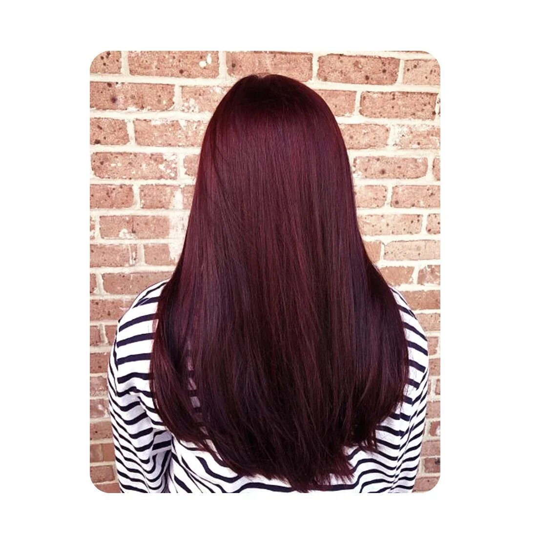 Махагон цвет волос фото краска Hot Sale Hair Coloring Products Mahogany Hair Dye Fast Acting Oem Harmless Tripl