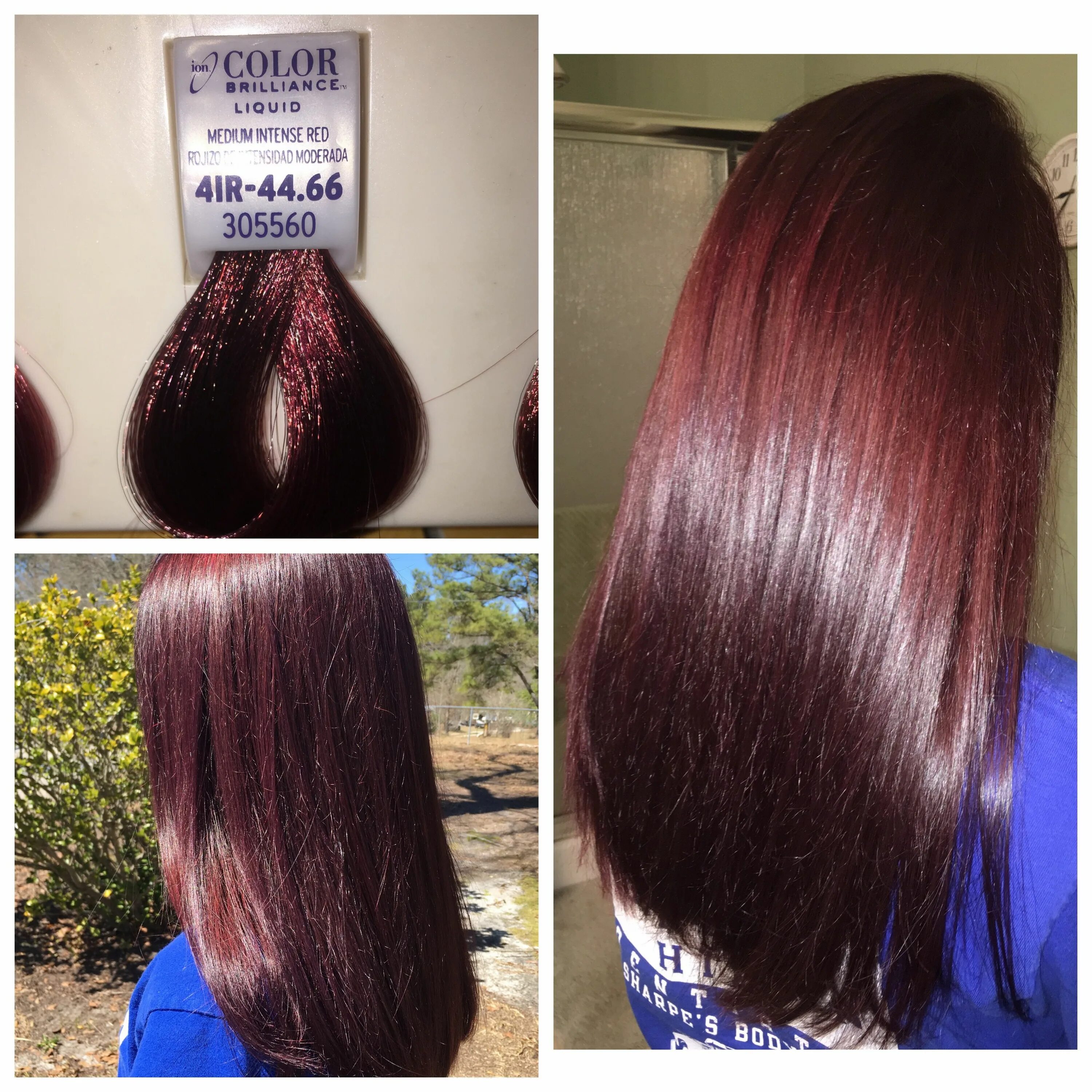 Махагон цвет волос фото краска Ion Color Brilliance Medium Intense Red Ion color brilliance, Ion hair colors, S
