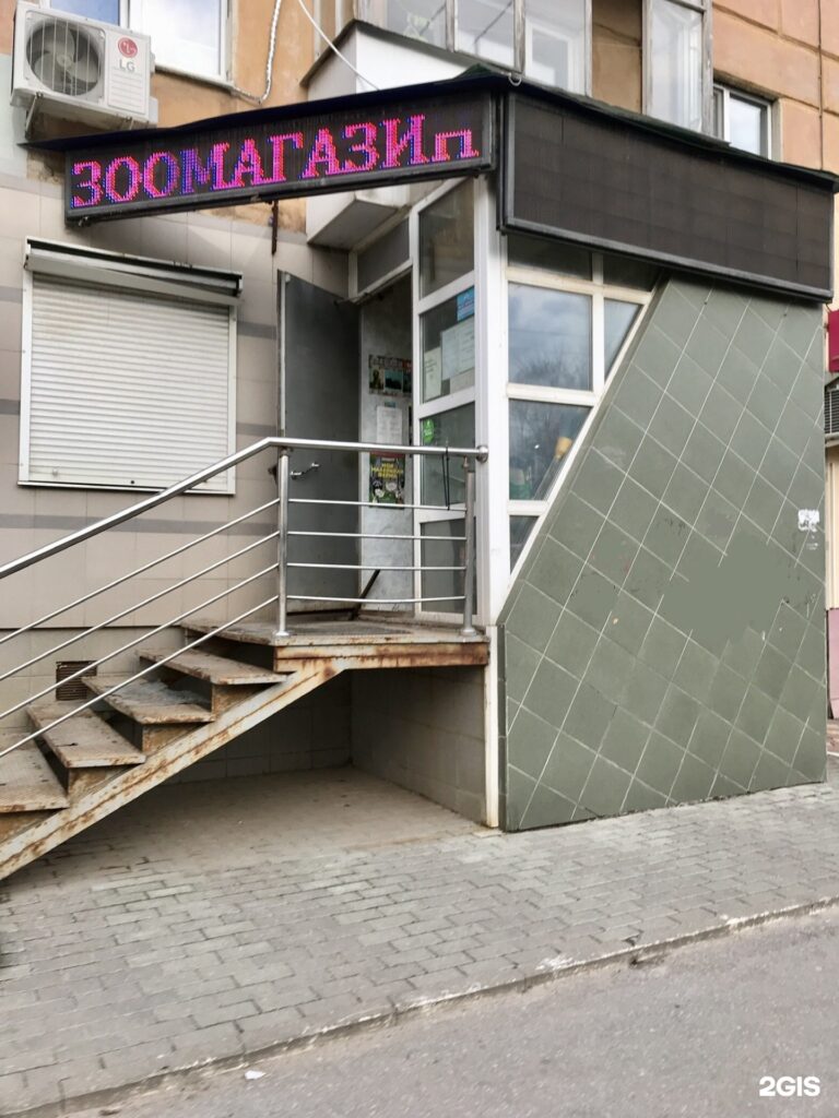 Махаон черновицкая ул 1 77 рязань фото Зоомагазин Наши лапы на Черновицкой улице в Рязани - отзывы, цены, адрес, телефо