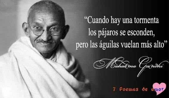 Махатма ганди москва ломоносовский проспект дублер фото Pin en Frases