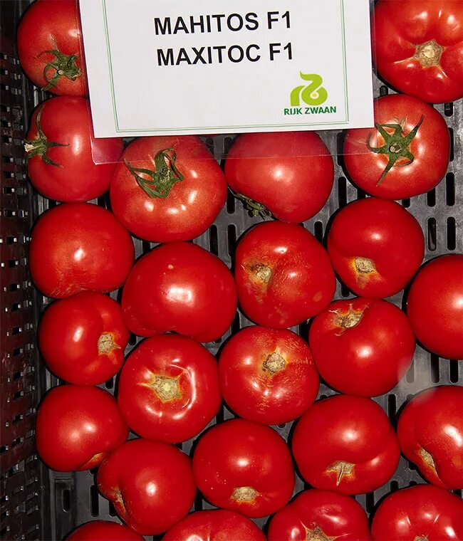 Махитос томат описание фото Томат Махитос F1 100шт Семена томатов Фиалка.net