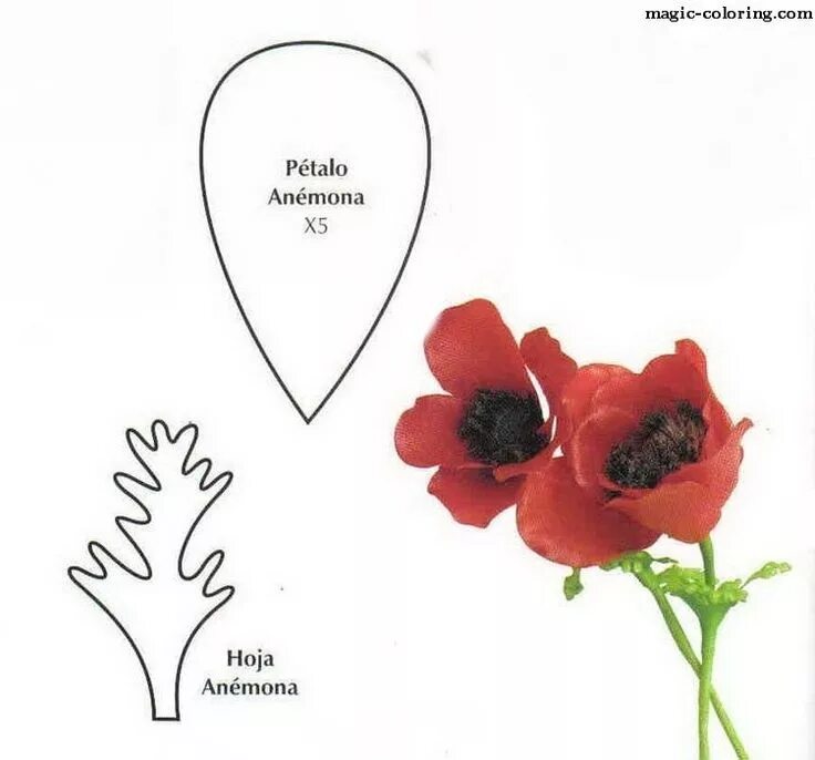 Мак из кожи выкройка MAGIC-COLORING Anemone flower template Flor de paper, Plantillas para flores de 