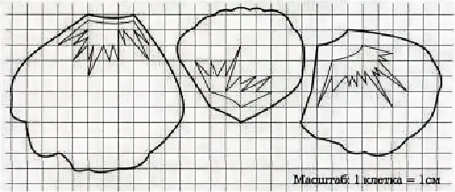 Мак из кожи выкройка Gallery.ru / Фото #4 - Мак-выкройки - zabelo4ka