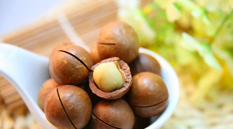 Макадамия орех полезные фото Орех макадамия: польза и вред для организма, свойства и противопоказания Lisa.ru