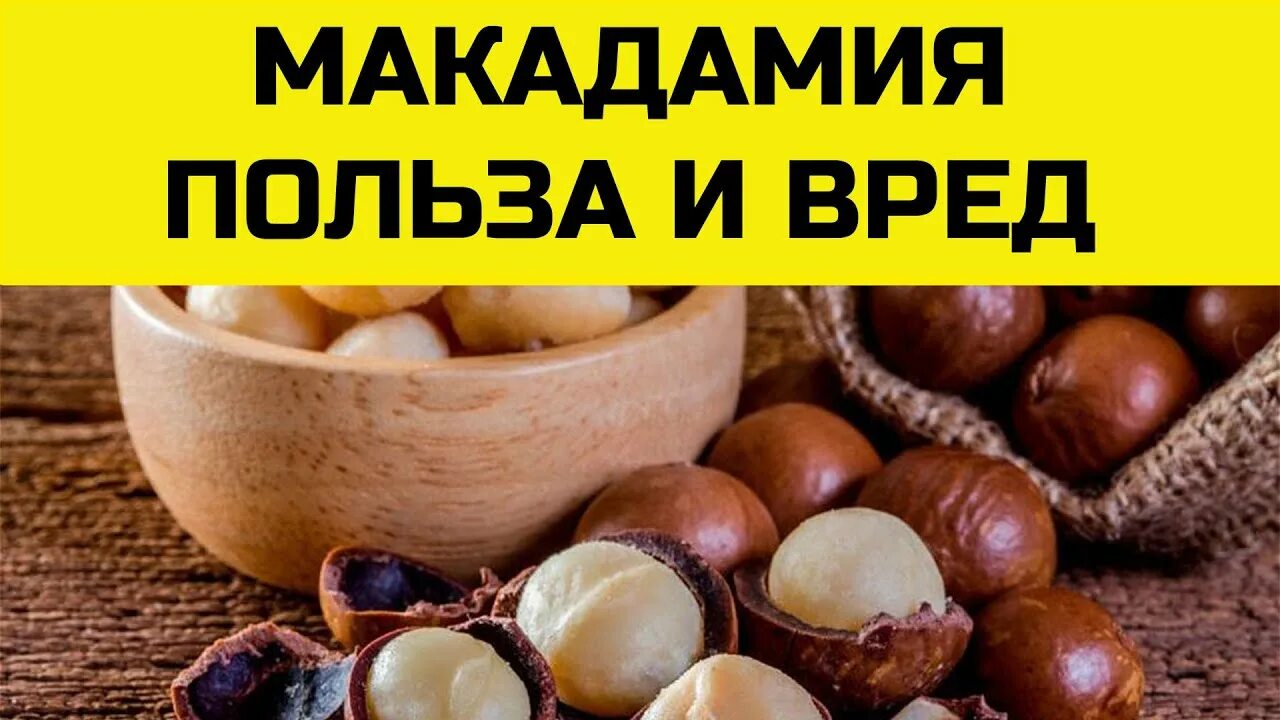 Макадамия орех полезные свойства фото Орех МАКАДАМИЯ. Польза и вред австралийского ореха для организма. - YouTube