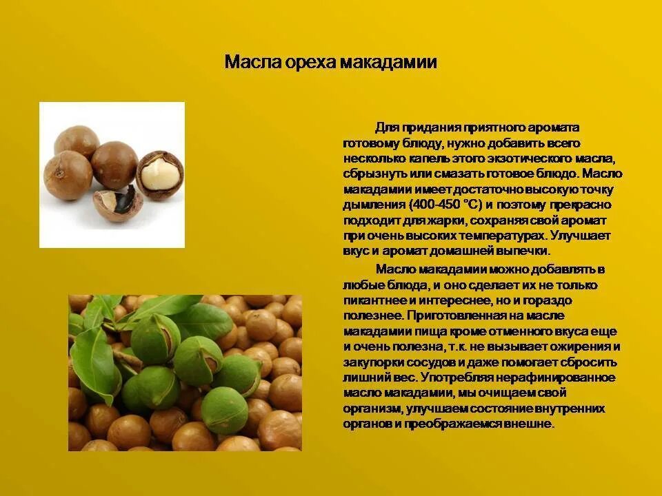 Макадамия орех полезные свойства фото Макадамия орех полезные свойства eCookie.ru