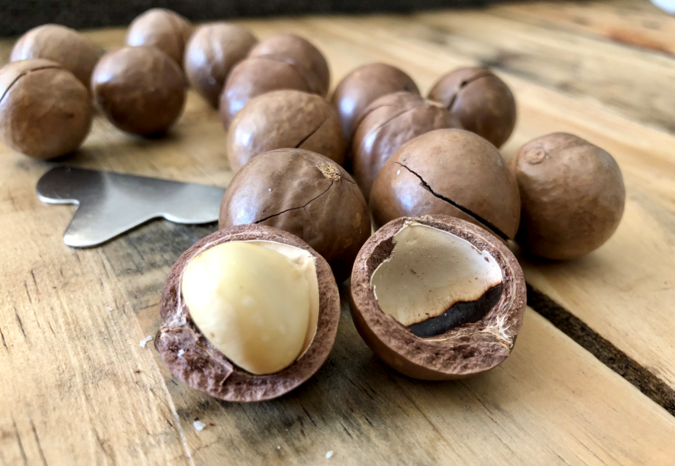 Макадамский орех фото 2019 SOUTH AFRICAN MACADAMIA INDUSTRY CROP OUTLOOK Produce Report