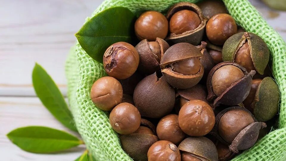 Макадамский орех фото Страница автора Naturalium WB Guru
