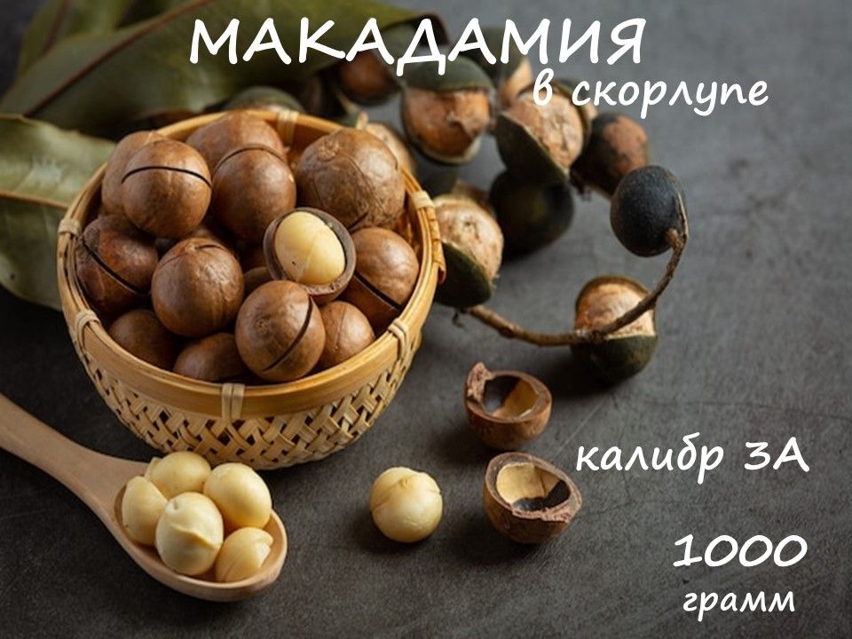 Макадамский орех фото Характеристики Макадамия орех в скорлупе 1 кг, подробное описание товара. Интерн