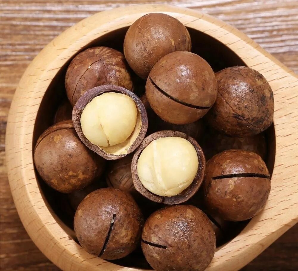 Макадамский орех фото Макадамия в скорлупе 3А (средняя) Frutoss 500 гр - купить в Москве, цены в интер