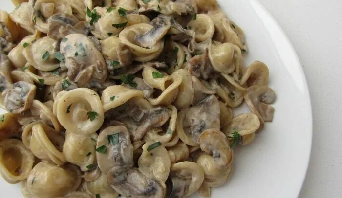 Макароны с грибами фото Ricetta Pasta ai funghi con fontina e tartufo bianco - Le Ricette di Buonissimo 