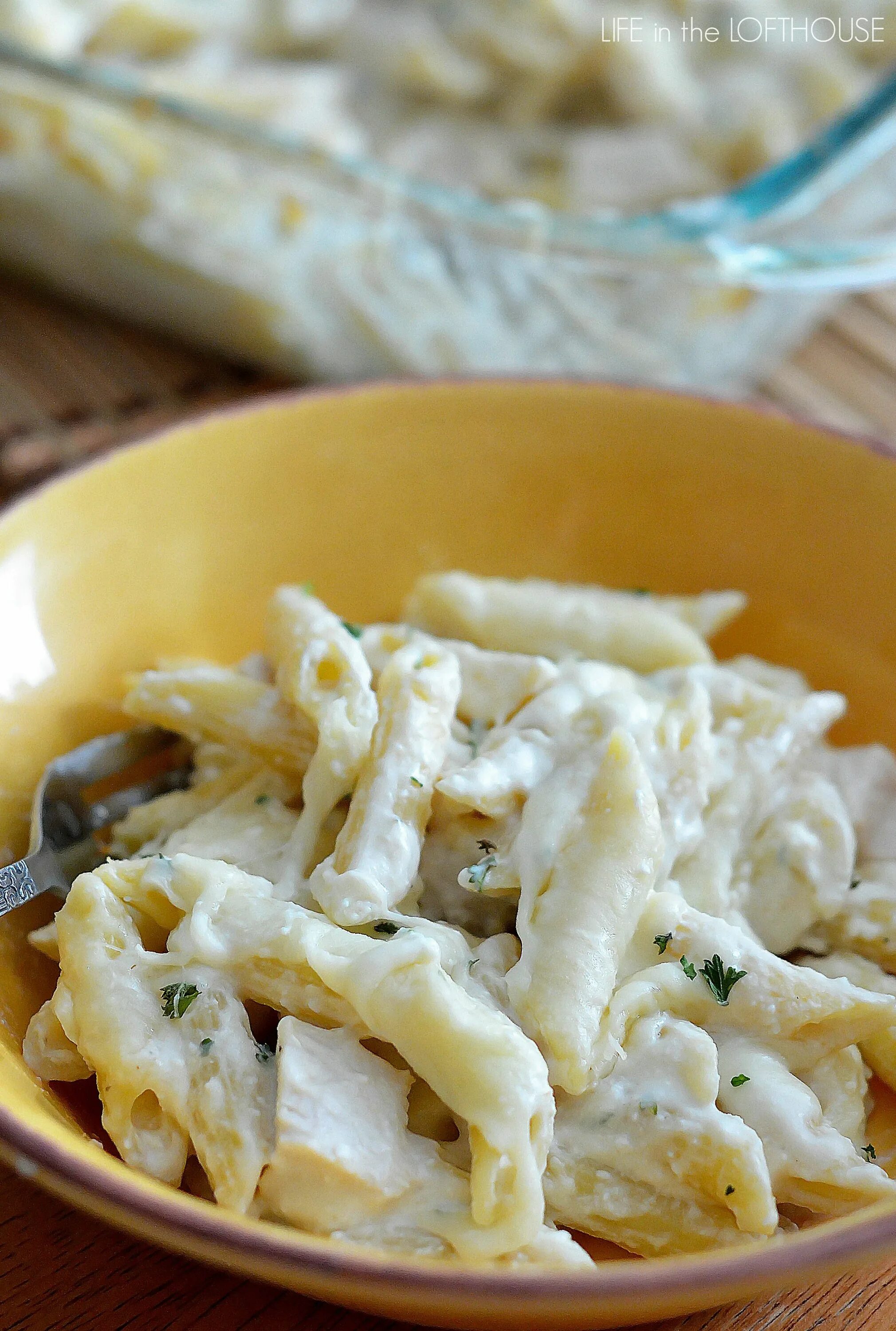 Макароны с соусом альфредо в школе фото Three Cheese Chicken Alfredo Bake Chicken alfredo bake, Recipes, Food