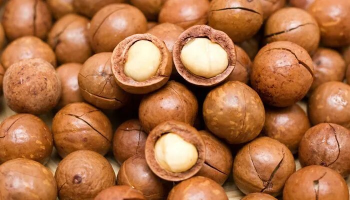 Македонский орех фото Pin en Agricultura y Pecuario