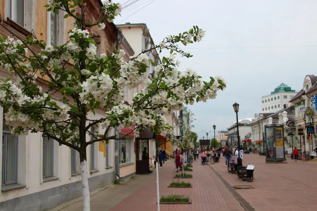 Макет города тверь трехсвятская улица фото В Твери общественники внесут свою лепту в благоустройство Трехсвятской - Газета 