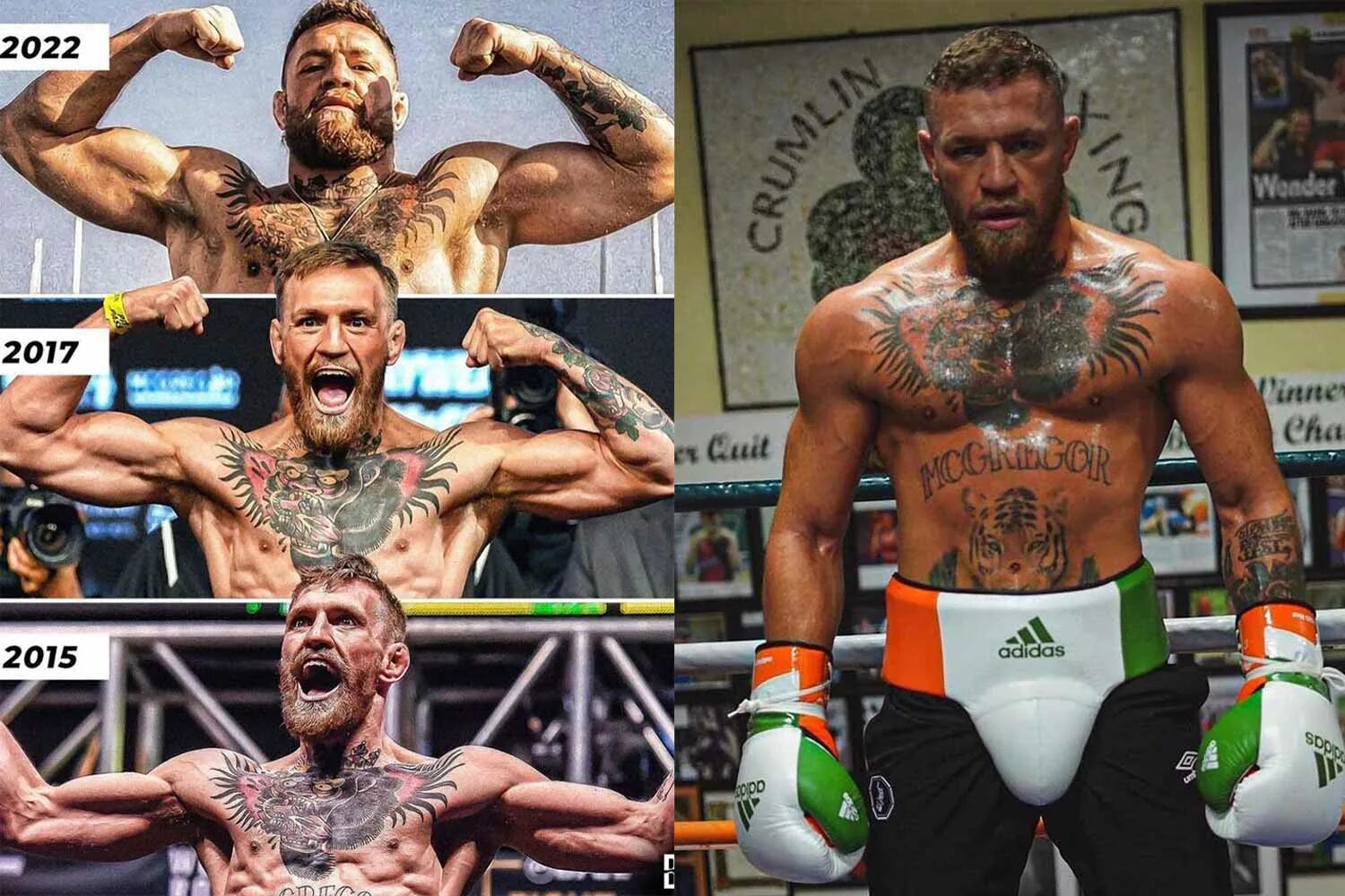 Макгрегор как выглядит сейчас Conor McGregor Begins Boxing Training With His 6-Year-Old Son Sports - DMARGE