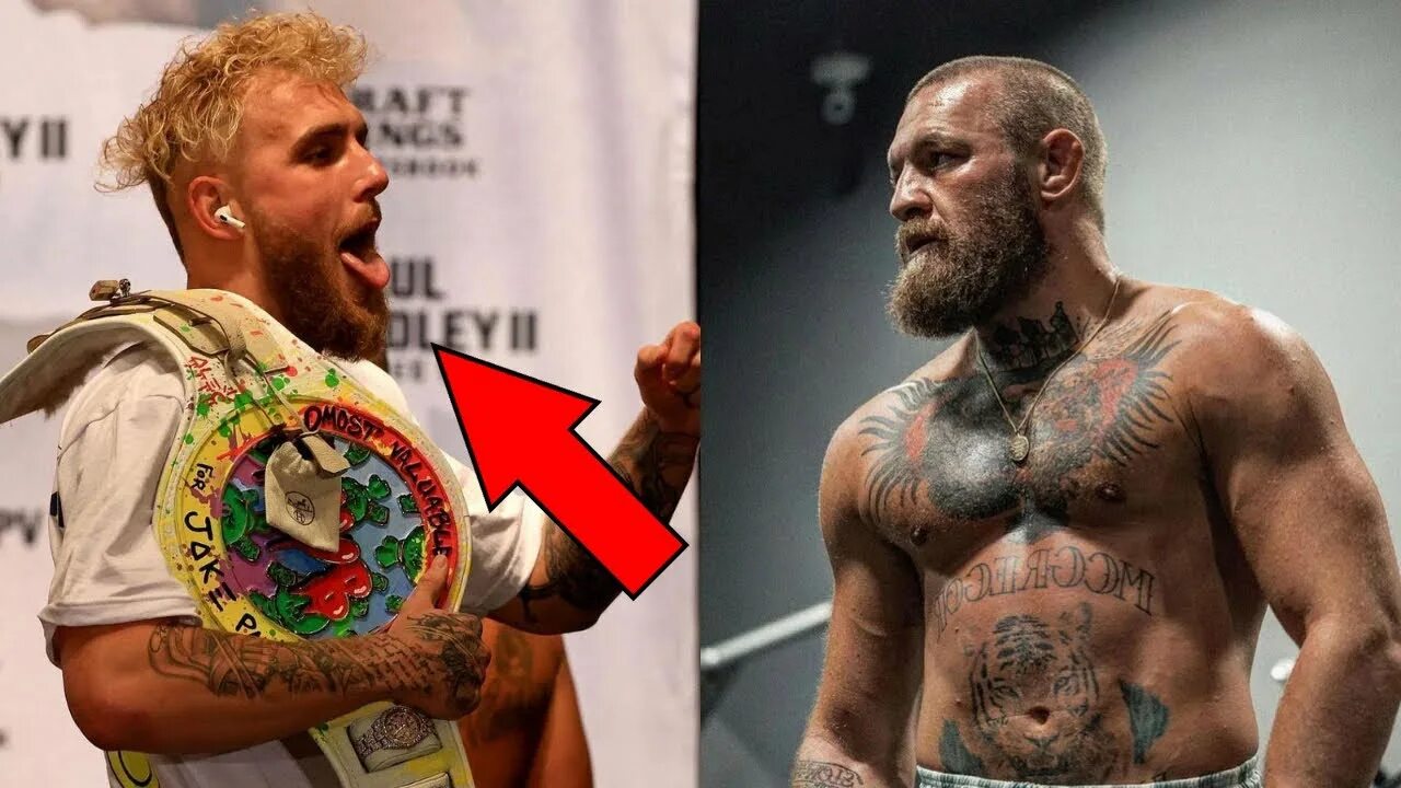 Макгрегор как выглядит сейчас Jake Paul Sends Conor McGregor KO Warning For Dissing KSI! - YouTube