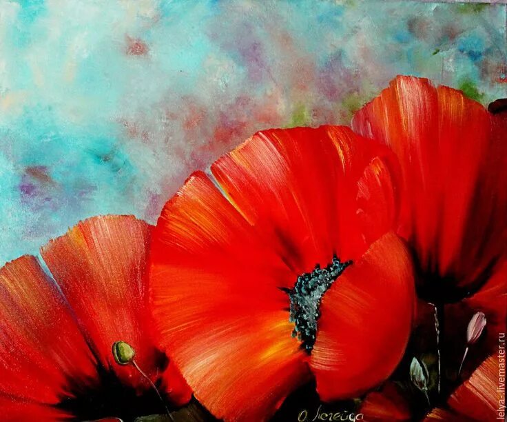 Маки фото масло Red Poppy Oil Painting